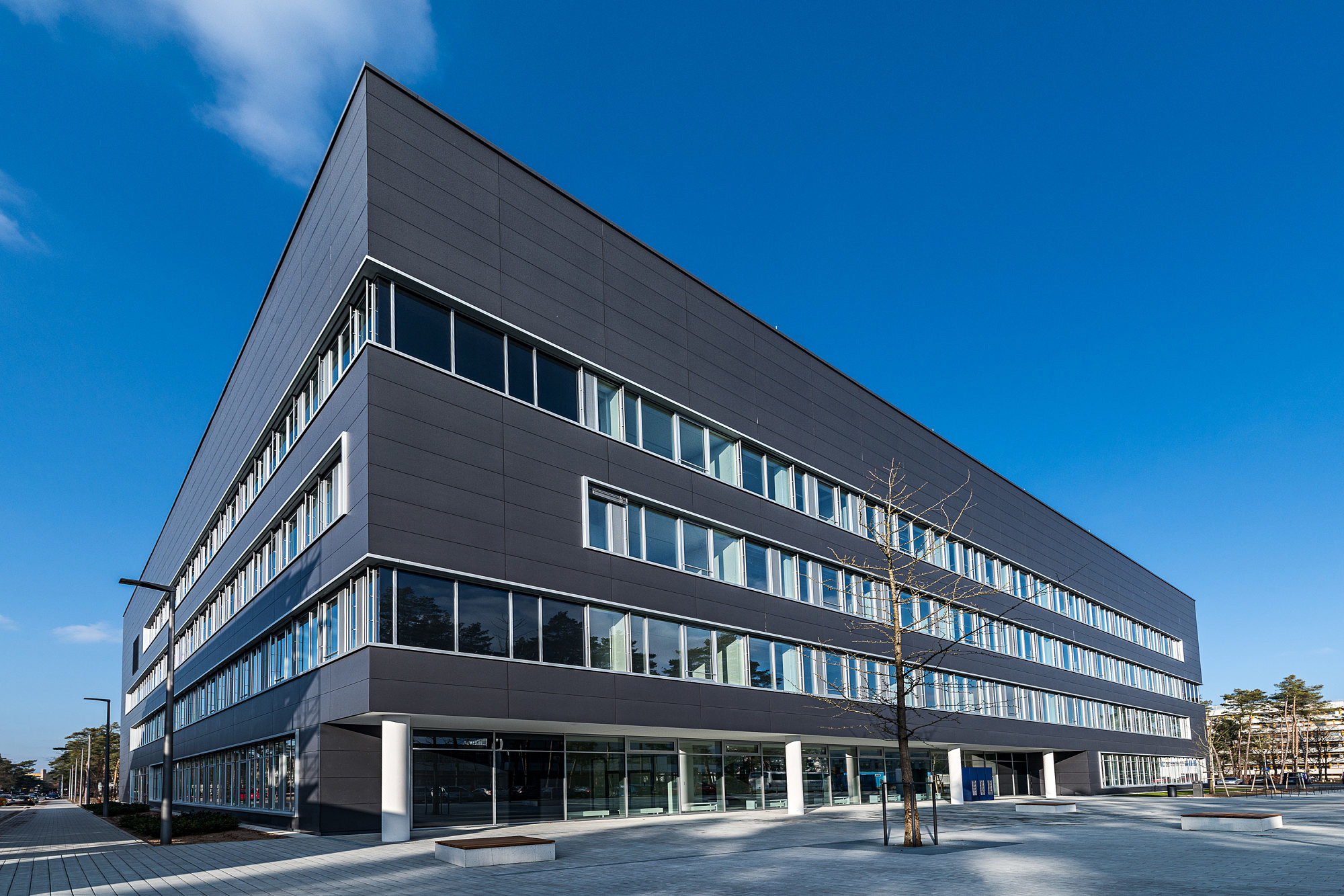 PULS Group – Prof. Ana-Suncana Smith